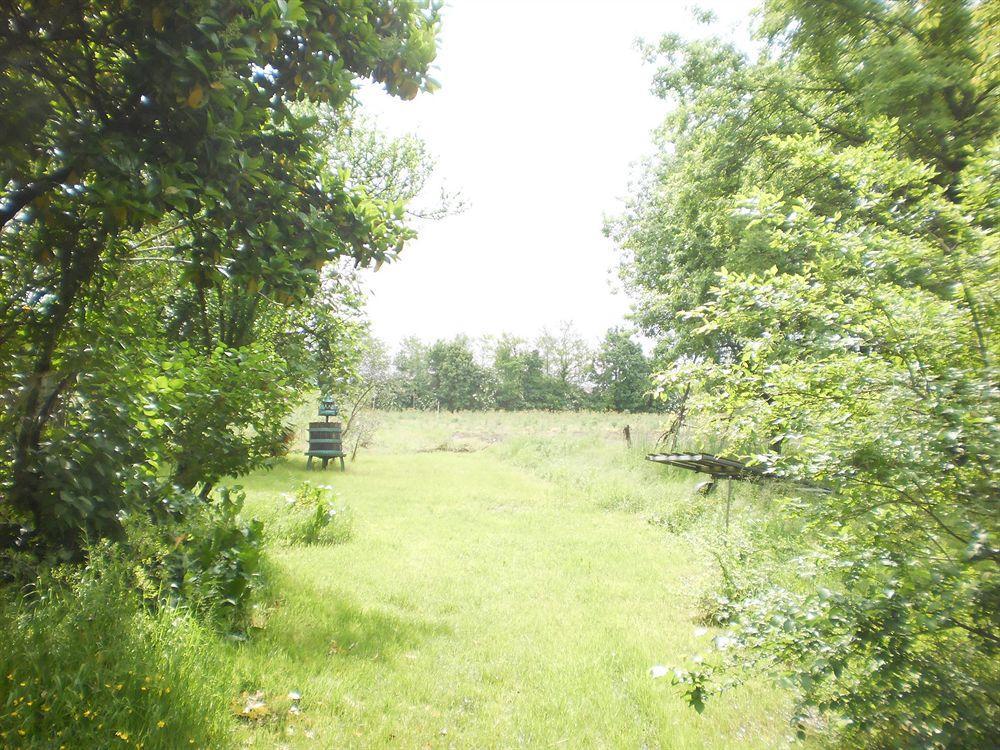 Green Fields Padova Bagian luar foto