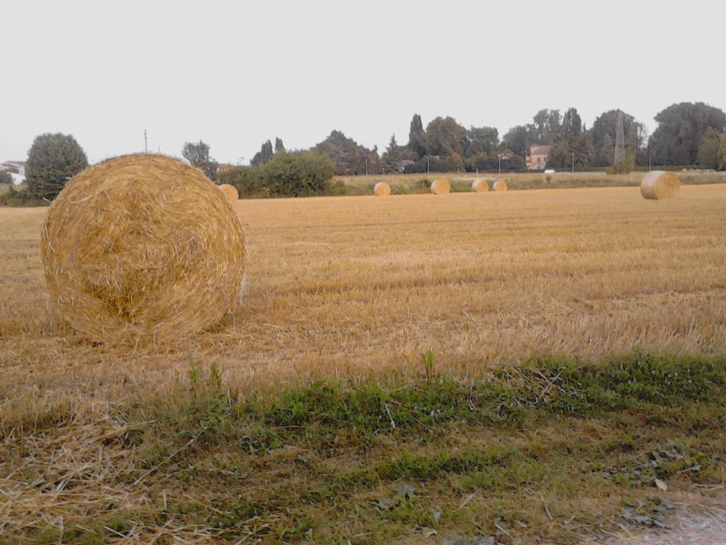 Green Fields Padova Bagian luar foto