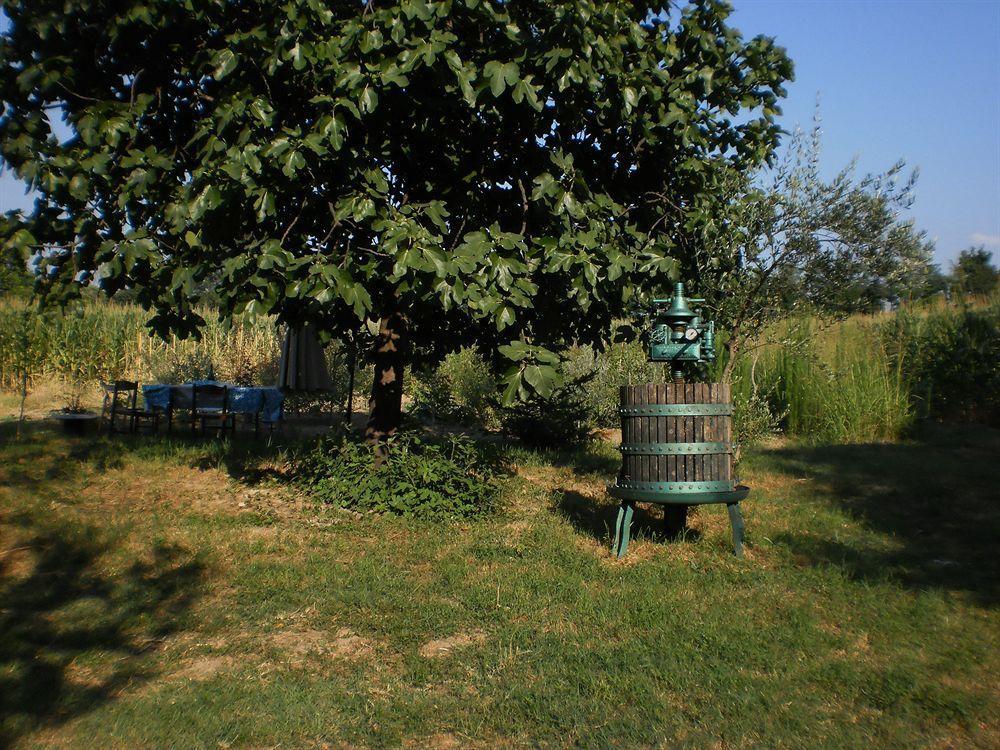 Green Fields Padova Bagian luar foto
